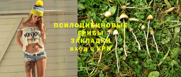 гидра Алексеевка