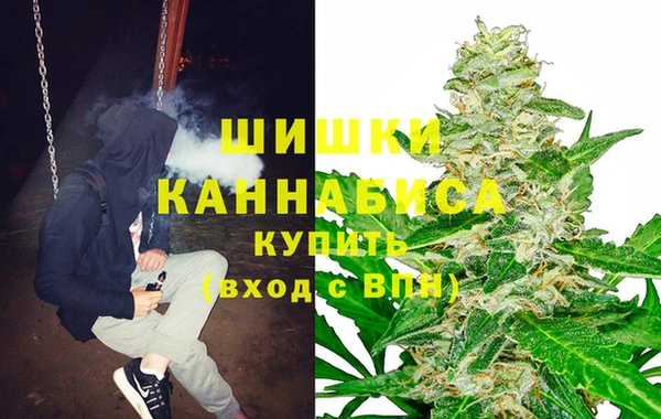 гидра Сатка