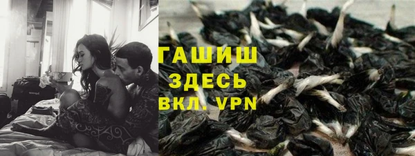 гидра Алексеевка
