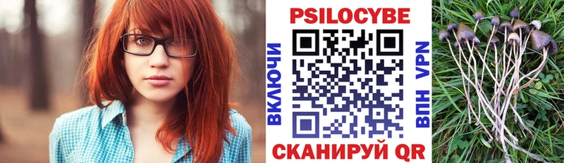 Галлюциногенные грибы ЛСД blacksprut ссылки Порхов